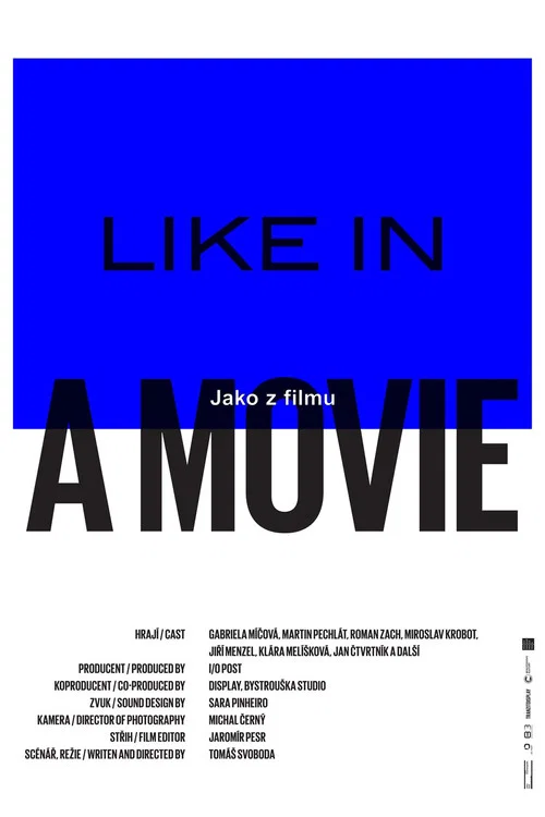 Постер: Jako z filmu