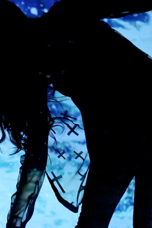 Постер: Parallels