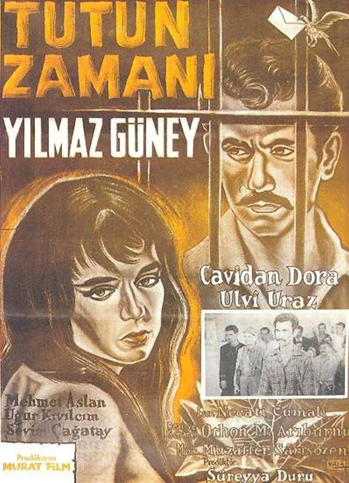 Постер: Tütün zamani