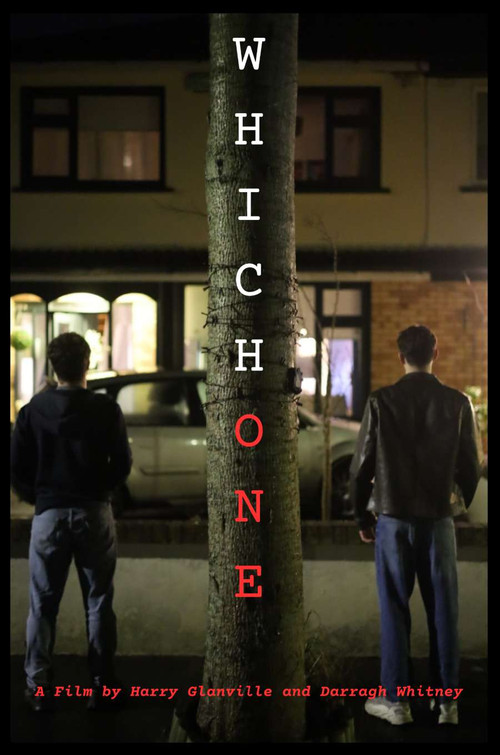 Постер: Which One