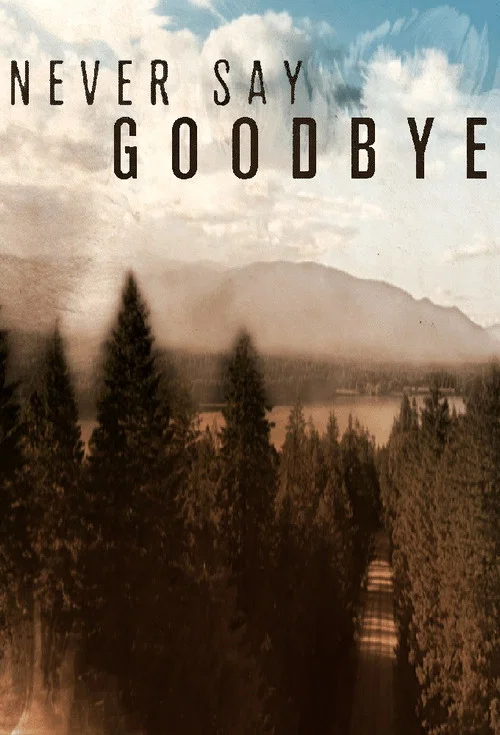 Постер: Never Say Goodbye