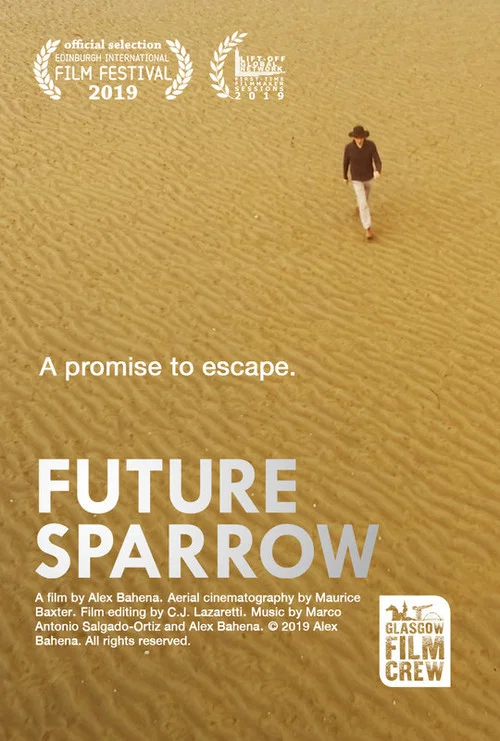 Постер: Future Sparrow