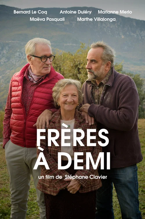 Постер: Frères à demi