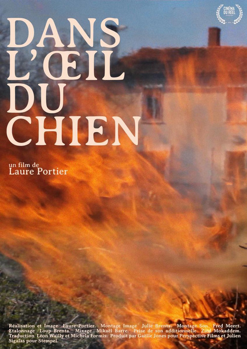 Постер: Dans l'oeil du chien