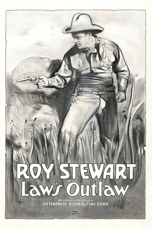 Постер: The Law's Outlaw
