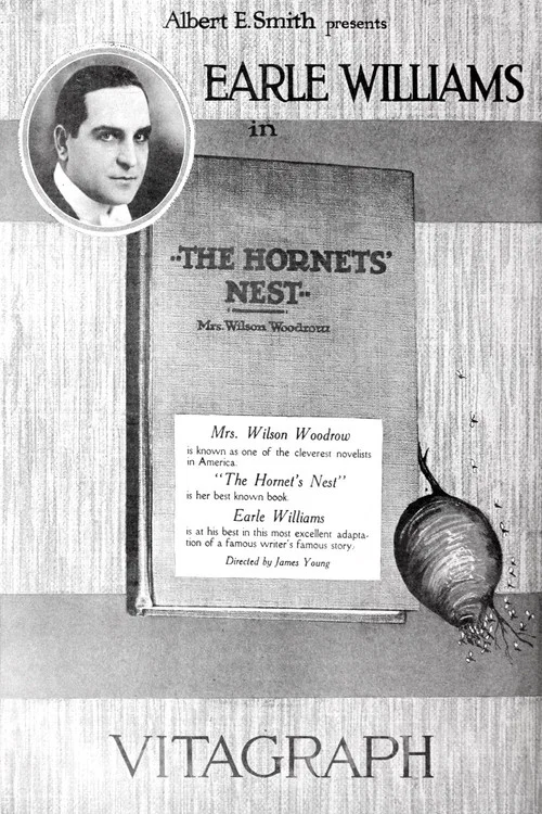 Постер: Hornet's Nest