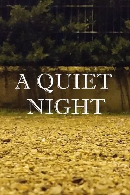 Постер: A Quiet Night