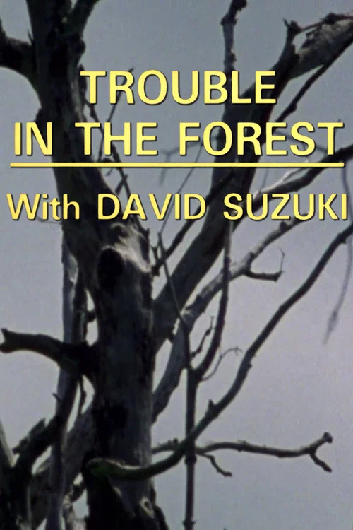 Постер: Trouble in the Forest