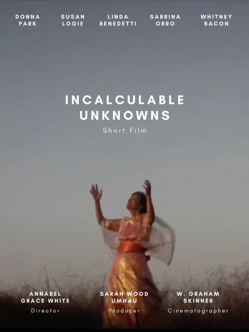 Постер: Incalculable Unknowns