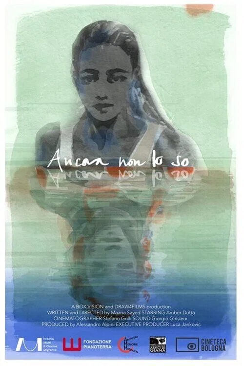 Постер: Ancora Non Lo So