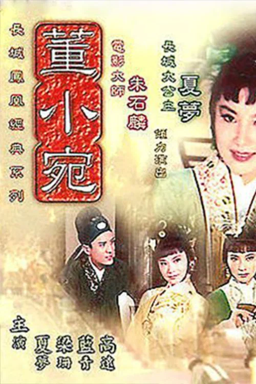 Постер: Dong Xiaowan