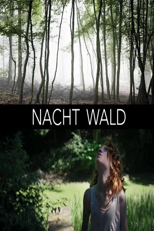 Постер: Nacht Wald