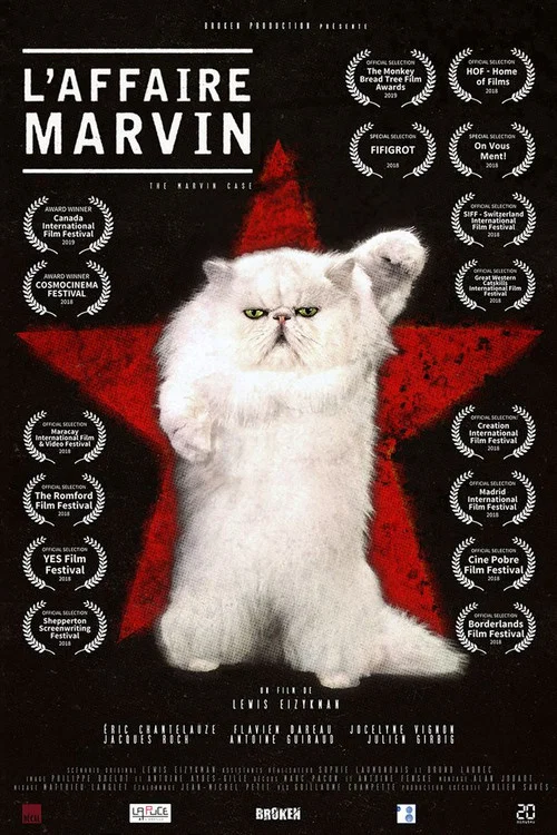 Постер: L'affaire Marvin