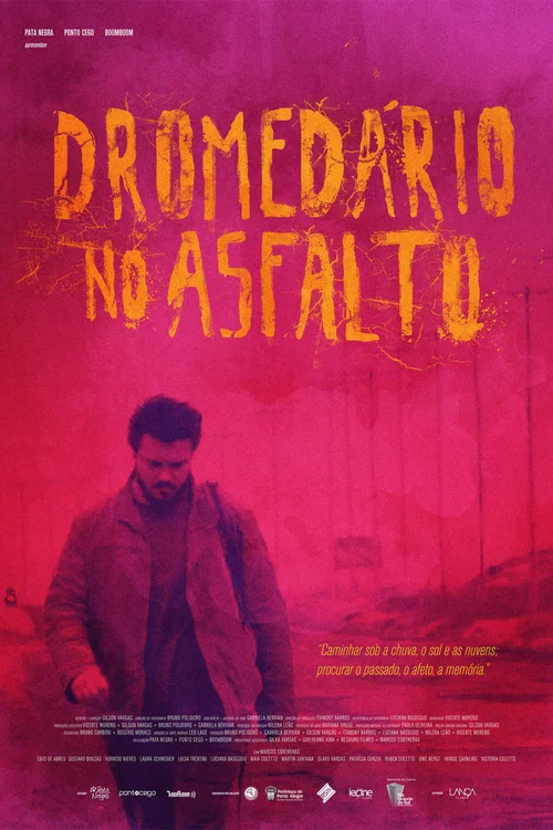 Постер: Dromedário no asfalto