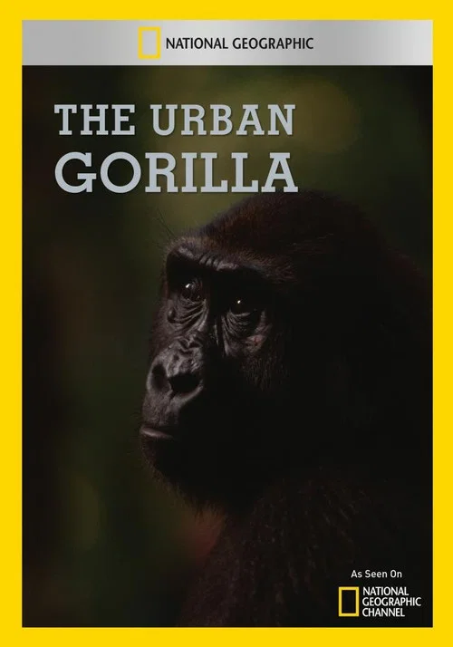 Постер: The Urban Gorilla