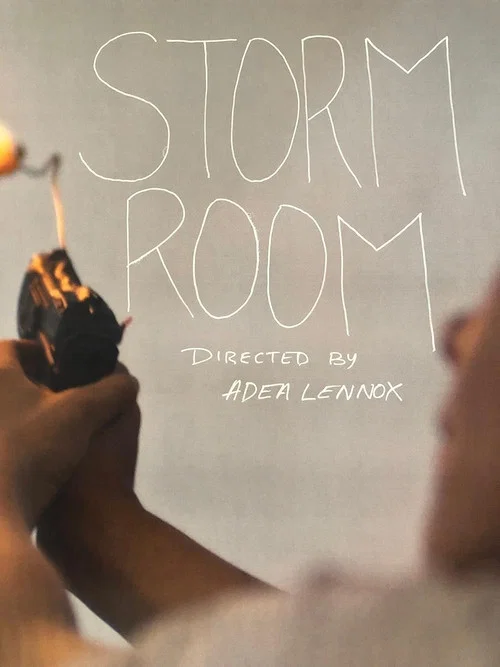 Постер: Storm Room