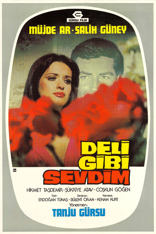 Постер: Deli Gibi Sevdim