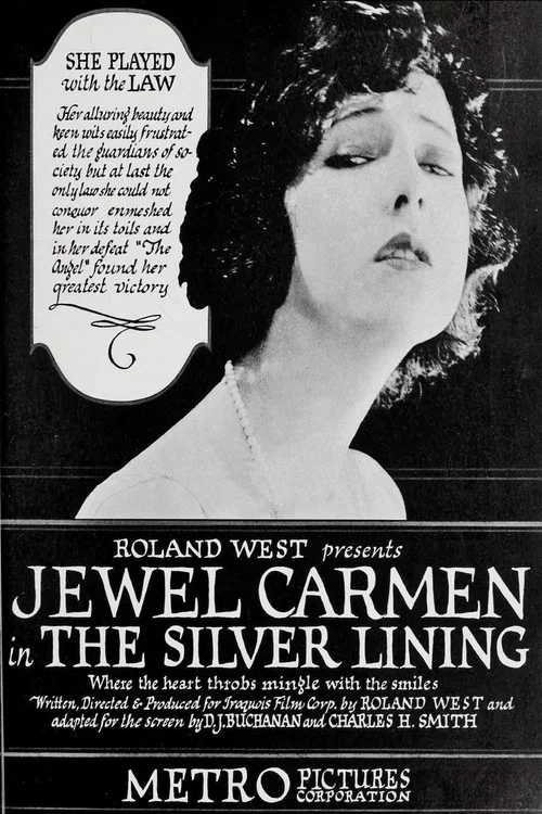 Постер: The Silver Lining