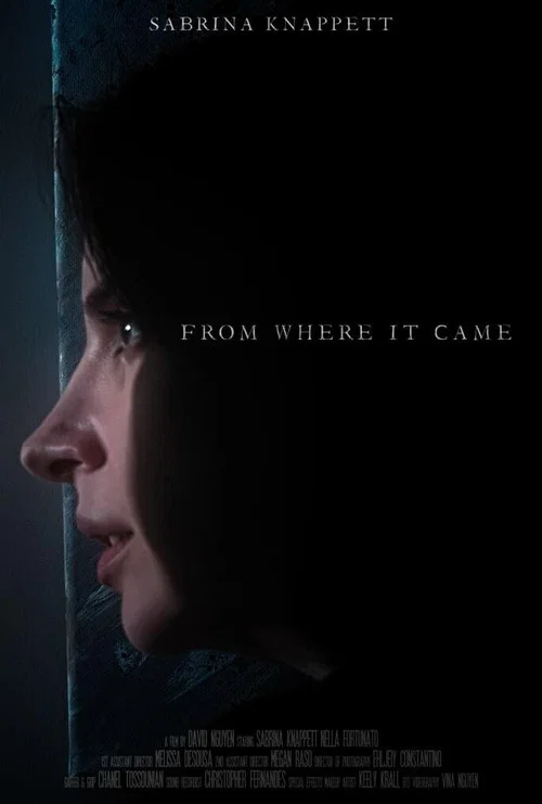 Постер: From Where It Came