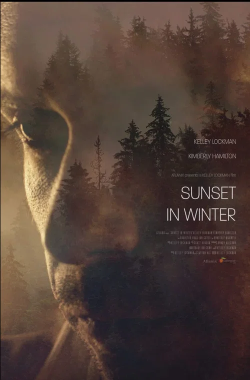Постер: Sunset in Winter
