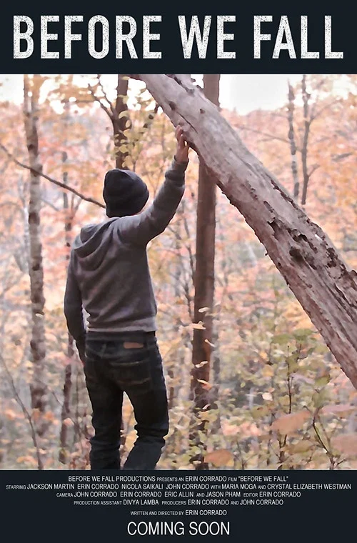 Постер: Before We Fall