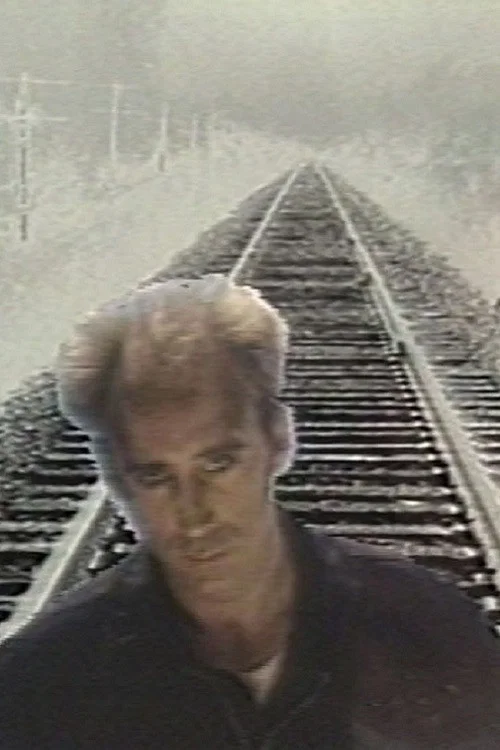 Постер: Le train