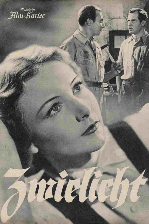Постер: Сумрак