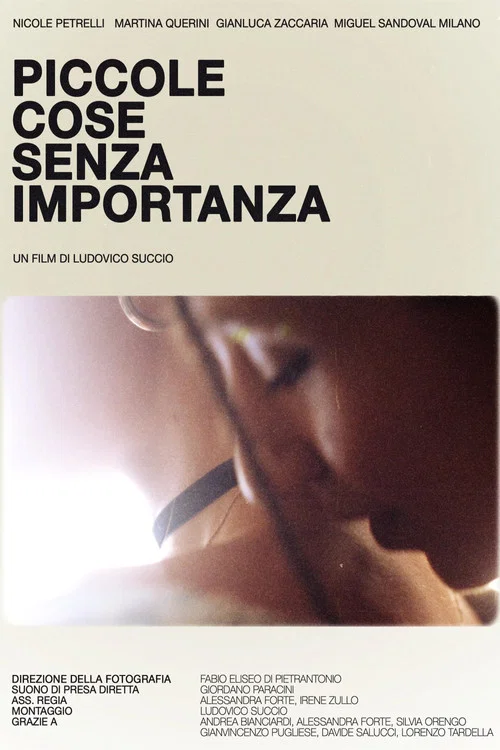 Постер: Piccole cose senza importanza