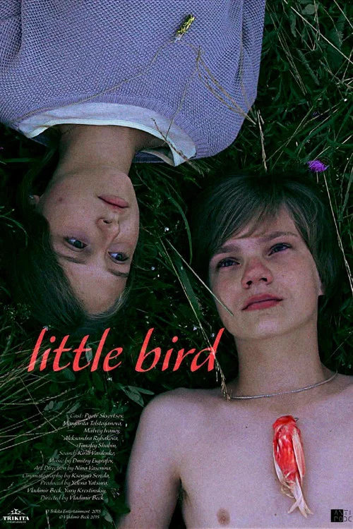 Постер: Little Bird