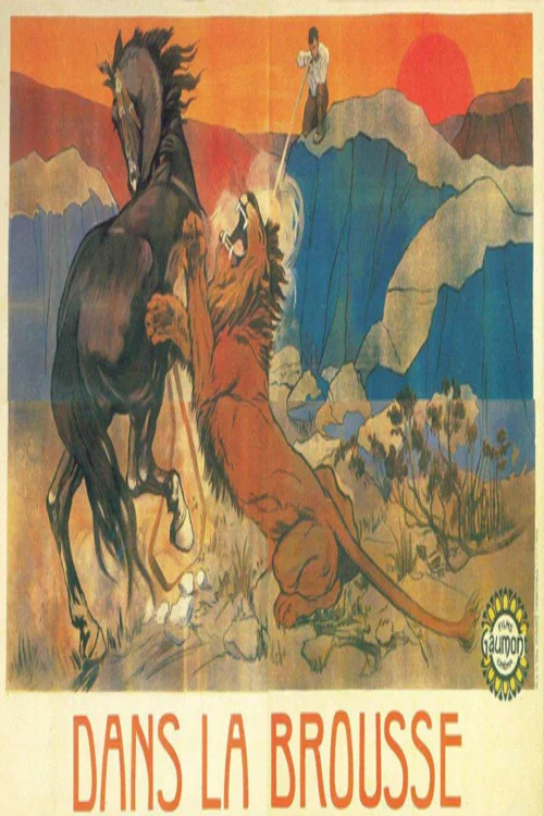 Постер: Dans la brousse