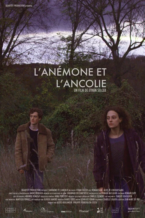 Постер: L'anémone et l'ancolie