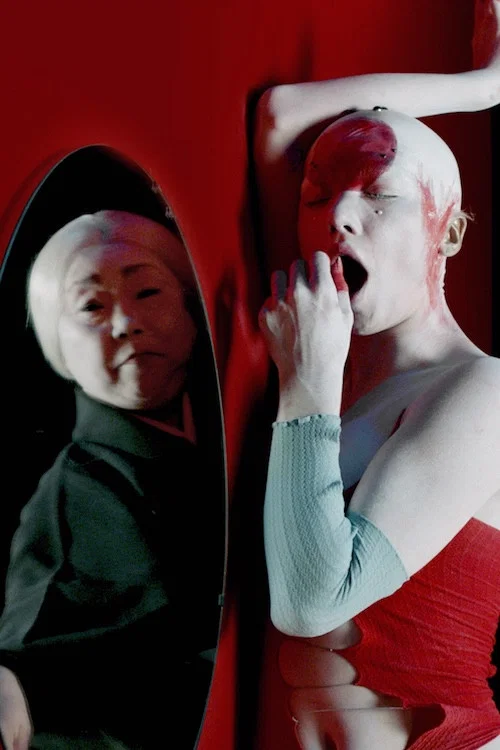 Постер: Simulacra