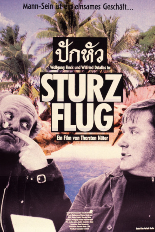 Постер: Sturzflug
