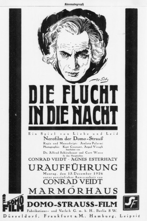 Постер: Die Flucht in die Nacht