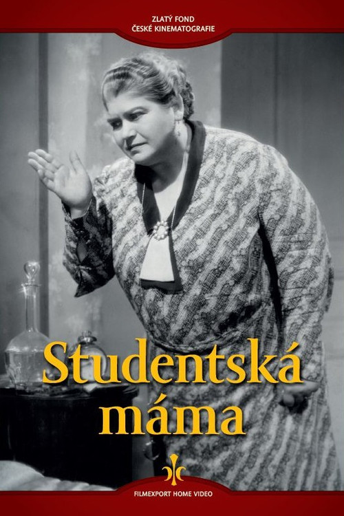 Постер: Studentská máma
