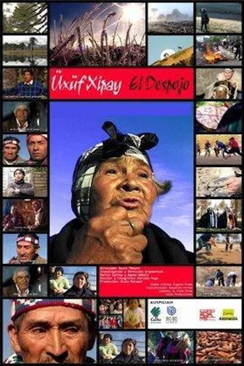 Постер: Изъятие