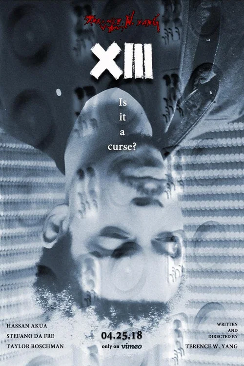 Постер: XIII