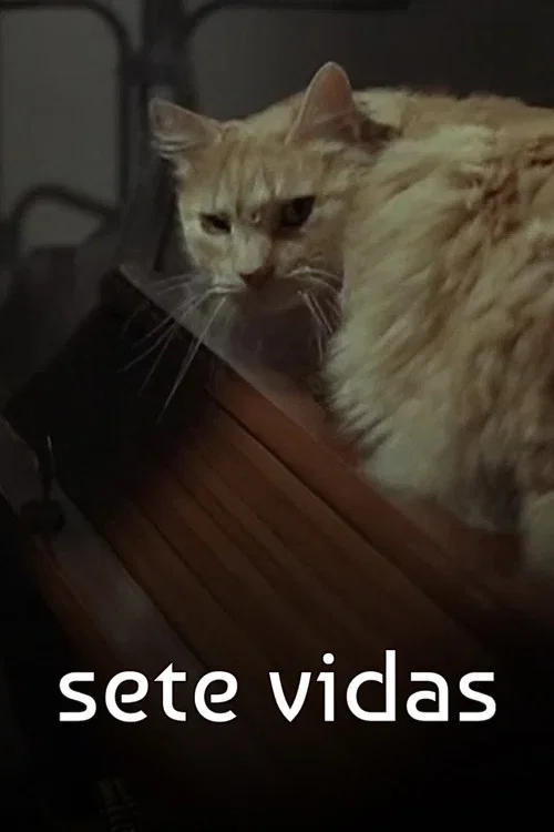 Постер: Семь жизней