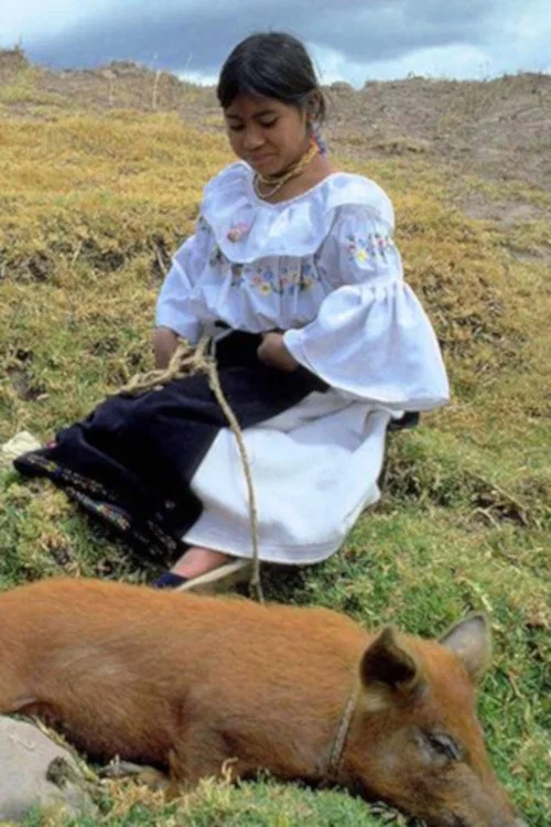 Постер: Chaupi Mundi