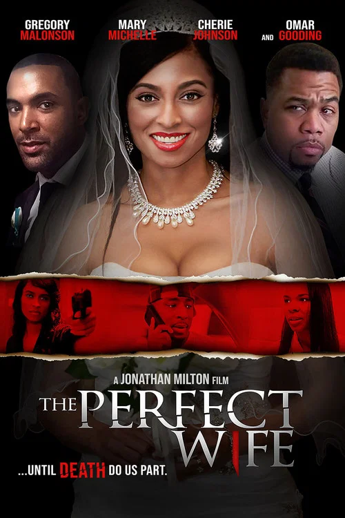 Постер: The Perfect Wife