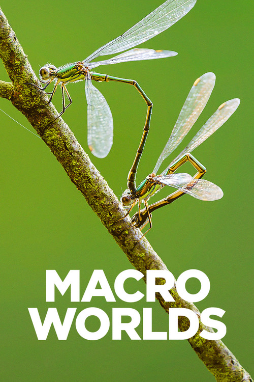 Постер: Macro Worlds