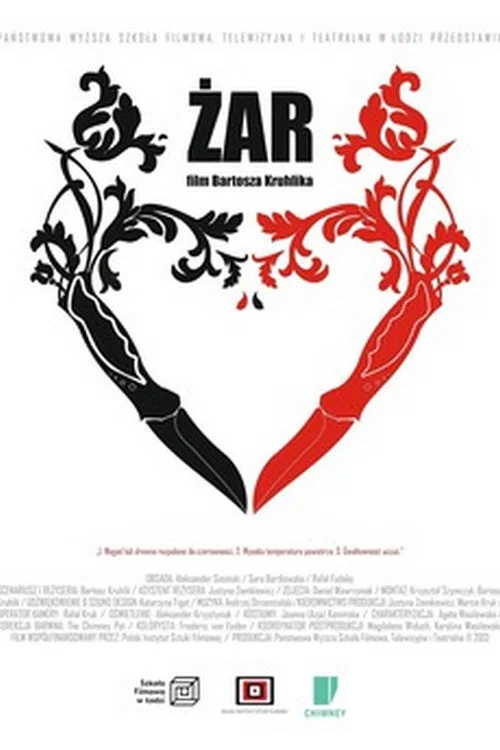 Постер: Zar
