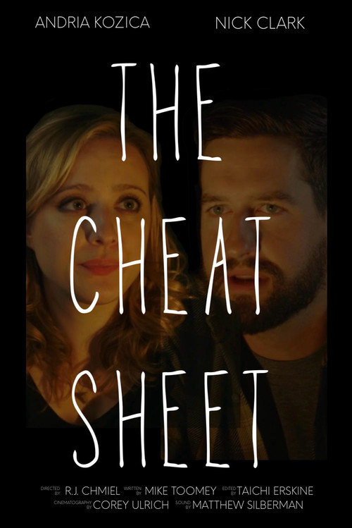 Постер: The Cheat Sheet