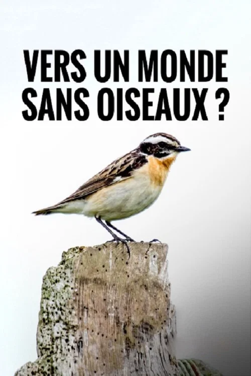 Постер: Vermisst - Wo sind die Vögel?