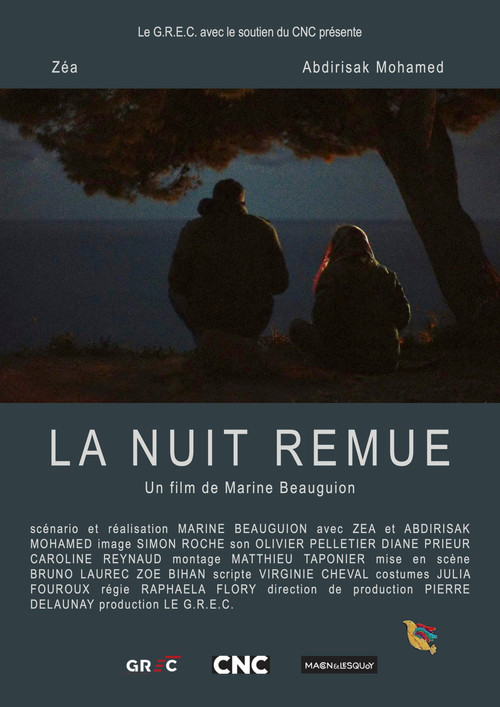 Постер: La nuit remue
