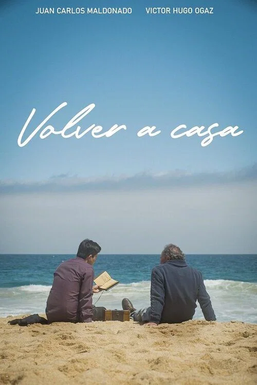 Постер: Volver a casa