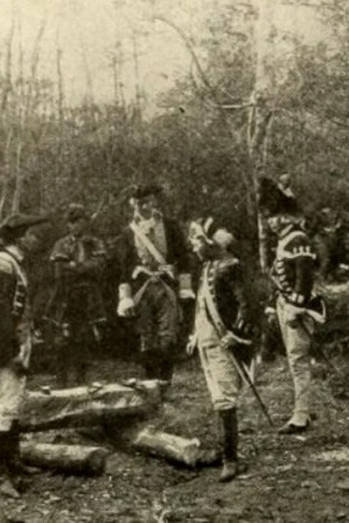 Постер: The Swamp Fox