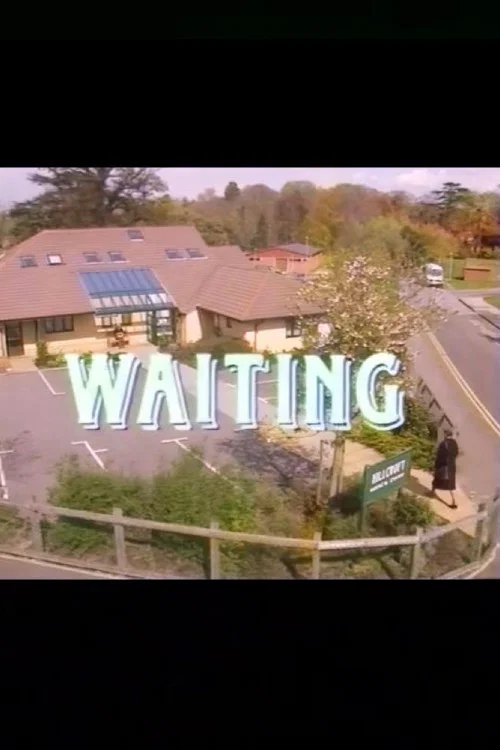 Постер: Waiting
