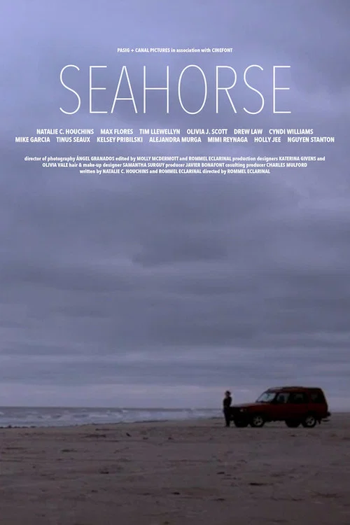 Постер: Seahorse