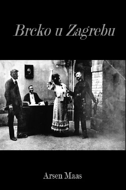Постер: Брцко и Загребе